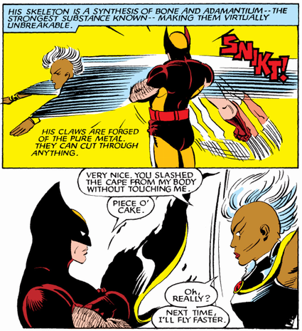 wolverine and storm training
