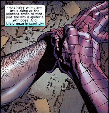 spider-man's forearm