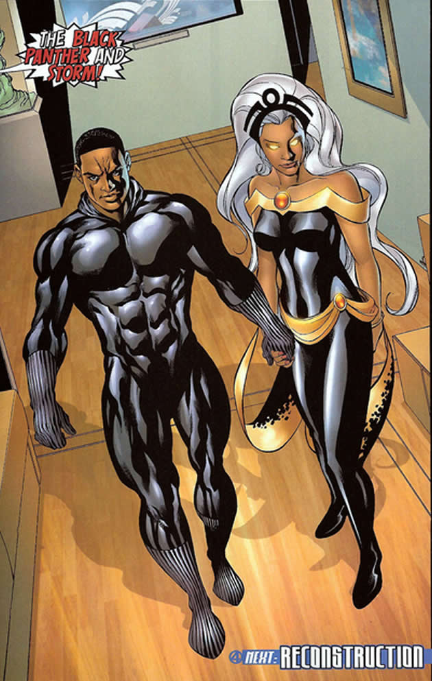the black panther and storm