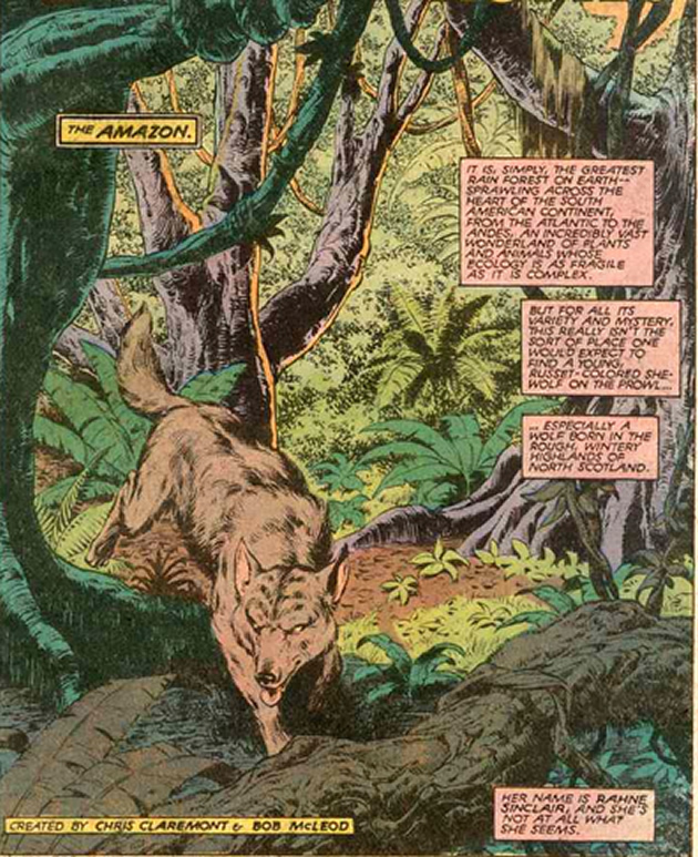 rahne inside the amazon jungle