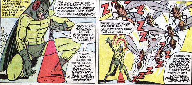 How the Locust enlarges insects