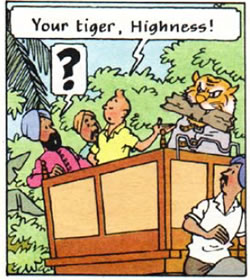 Tintin Cigars of the Pharaoh panel : basket tiger