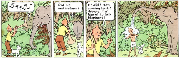 Tintin Cigars of the Pharaoh panel : elephant bath