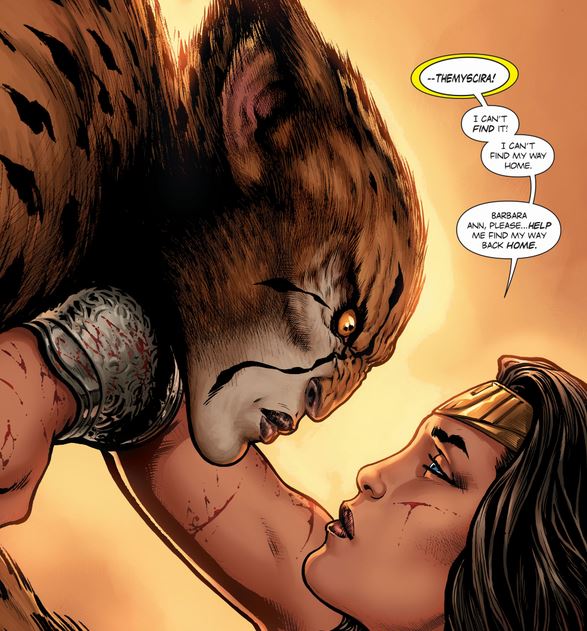 cheetah and wonder woman